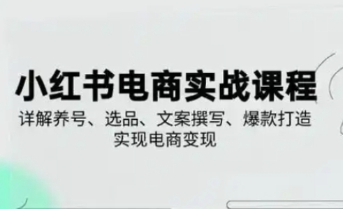 小红书从0-1实操课(2023-2025),详解养号、选品、文案撰写、爆款打造实现电商变现-知本通