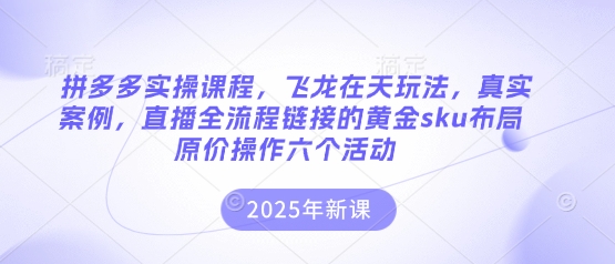拼多多实操课程,飞龙在天玩法,真实案例,直播全流程链接的黄金sku布局原价操作六个活动-知本通