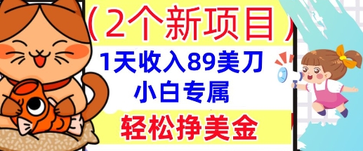 2个新项目,轻松挣美金, 1天收入89美刀,小白专属,干货分享-知本通